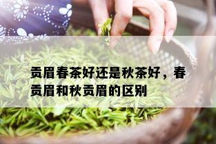 贡眉春茶好还是秋茶好，春贡眉和秋贡眉的区别