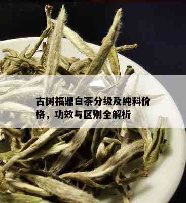 古树福鼎白茶分级及纯料价格，功效与区别全解析