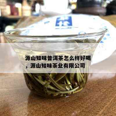 源山知味普洱茶怎么样好喝，源山知味茶业有限公司