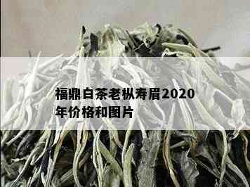 福鼎白茶老枞寿眉2020年价格和图片