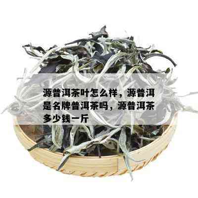 源普洱茶叶怎么样，源普洱是名牌普洱茶吗，源普洱茶多少钱一斤