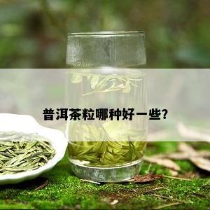 普洱茶粒哪种好一些？