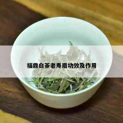 福鼎白茶老寿眉功效及作用