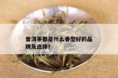 普洱茶都是什么香型好的品牌及选择？