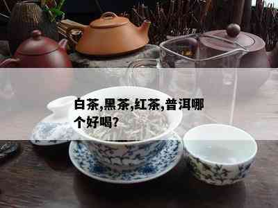 白茶,黑茶,红茶,普洱哪个好喝？