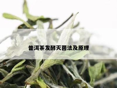 普洱茶发酵灭菌法及原理