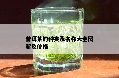 普洱茶的种类及名称大全图解及价格