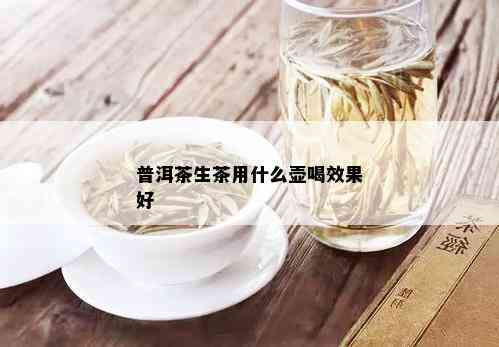 普洱茶生茶用什么壶喝效果好