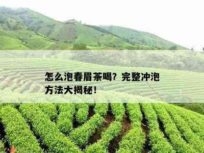 怎么泡春眉茶喝？完整冲泡方法大揭秘！