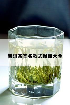 普洱茶签名款式图册大全