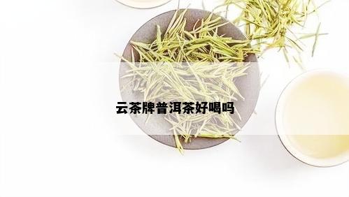 云茶牌普洱茶好喝吗