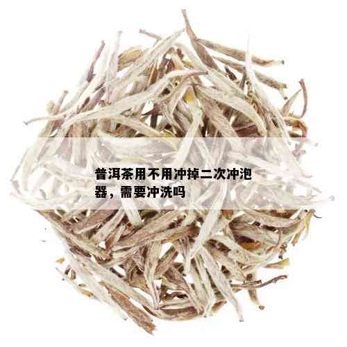 普洱茶用不用冲掉二次冲泡器，需要冲洗吗