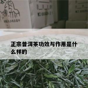 正宗普洱茶功效与作用是什么样的