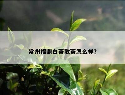 常州福鼎白茶散茶怎么样？