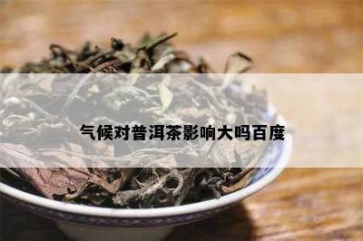 气候对普洱茶影响大吗百度