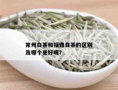 常州白茶和福鼎白茶的区别及哪个更好喝？