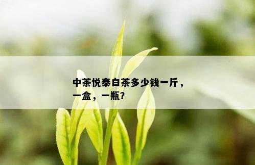 中茶悦泰白茶多少钱一斤，一盒，一瓶？