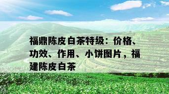 福鼎陈皮白茶特级：价格、功效、作用、小饼图片，福建陈皮白茶