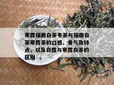 寒露福鼎白茶冬茶与福鼎白茶寒露茶的口感、香气及特点，以及白露与寒露白茶的区别