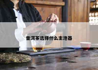 普洱茶选择什么主泡器