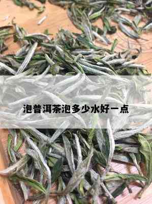 泡普洱茶泡多少水好一点