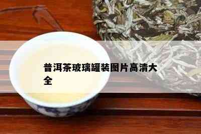 普洱茶玻璃罐装图片高清大全