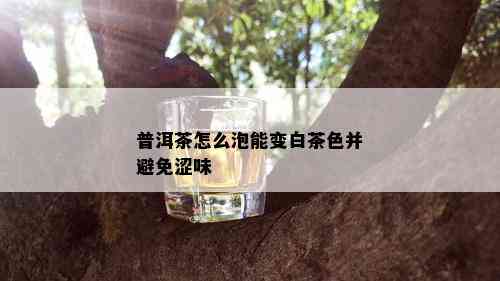 普洱茶怎么泡能变白茶色并避免涩味