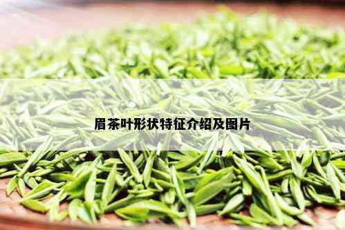 眉茶叶形状特征介绍及图片