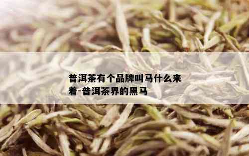 普洱茶有个品牌叫马什么来着-普洱茶界的黑马