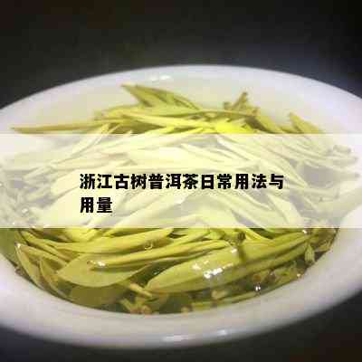 浙江古树普洱茶日常用法与用量