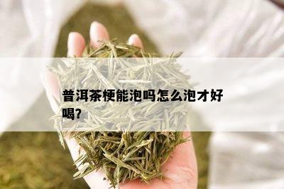 普洱茶梗能泡吗怎么泡才好喝？