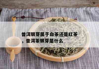 普洱银芽属于白茶还是红茶，普洱茶银芽是什么