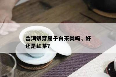 普洱银芽属于白茶类吗，好还是红茶？