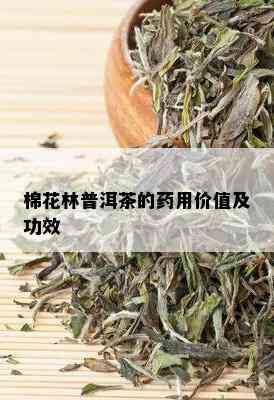 棉花林普洱茶的用价值及功效