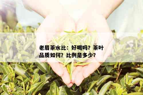 老眉茶水比：好喝吗？茶叶品质如何？比例是多少？