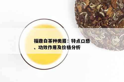 福鼎白茶种类眉：特点口感、功效作用及价格分析