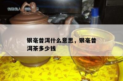 银毫普洱什么意思，银毫普洱茶多少钱