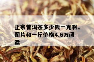 正宗普洱茶多少钱一克啊，图片和一斤价格4.6万阅读