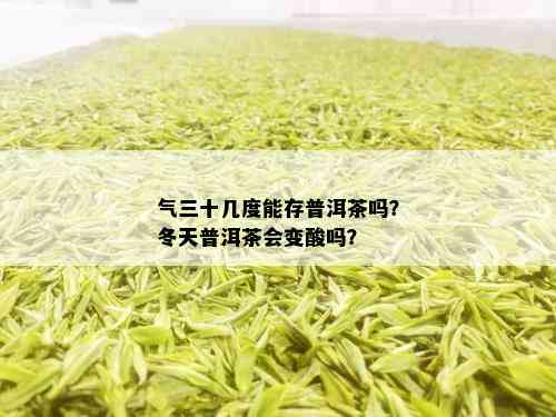 气三十几度能存普洱茶吗？冬天普洱茶会变酸吗？