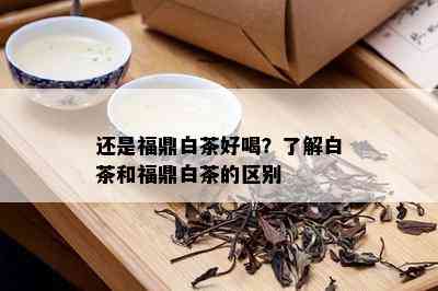 还是福鼎白茶好喝？了解白茶和福鼎白茶的区别