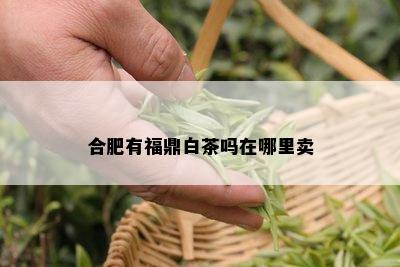 合肥有福鼎白茶吗在哪里卖