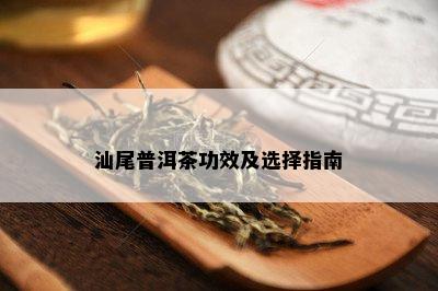 汕尾普洱茶功效及选择指南