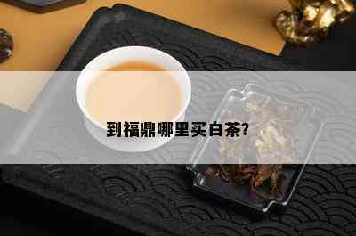 到福鼎哪里买白茶？