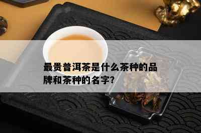 最贵普洱茶是什么茶种的品牌和茶种的名字？