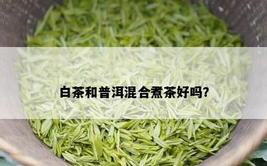 白茶和普洱混合煮茶好吗？