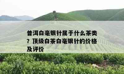 普洱白毫银针属于什么茶类？顶级白茶白毫银针的价格及评价