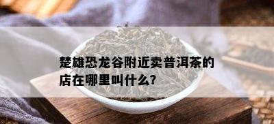 楚雄恐龙谷附近卖普洱茶的店在哪里叫什么？