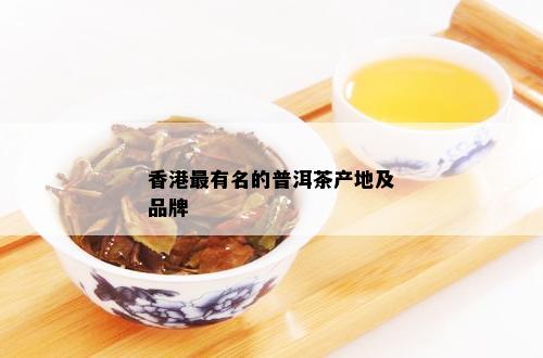 香港最有名的普洱茶产地及品牌