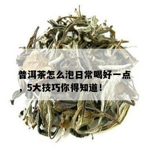 普洱茶怎么泡日常喝好一点，5大技巧你得知道！