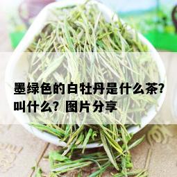 墨绿色的白牡丹是什么茶？叫什么？图片分享